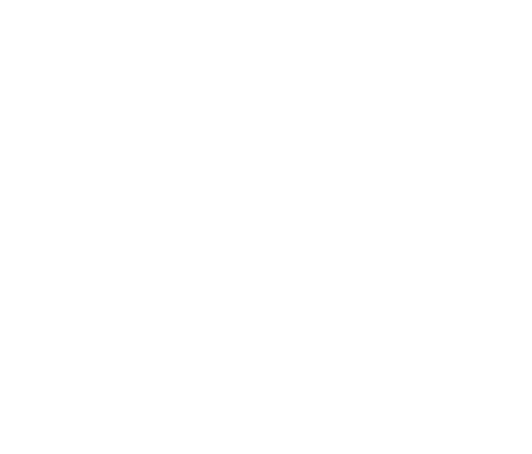 Give with GiveWise