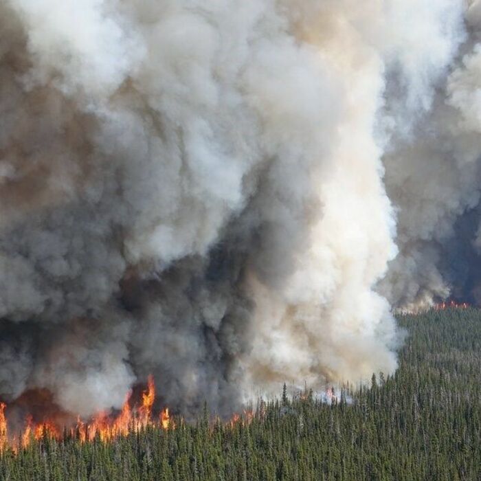 wildfire-g41493.jpg