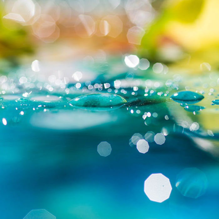 abstract photo with water and greenery background with bokeh filter