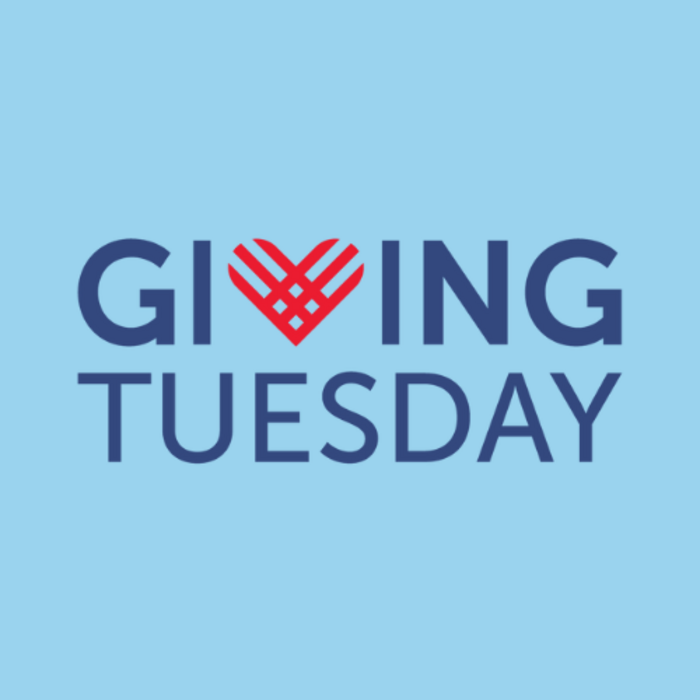 Giving Tuesday GiveWise.png